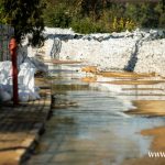 Radoszyce 21.09 (17)