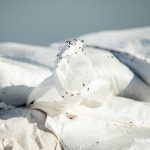 Radoszyce 21.09 (18)