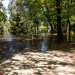 Ścinawa, Odra, podtopienia (12)