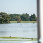 Ścinawa, Odra, podtopienia (29)