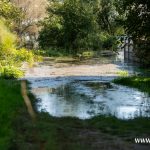 Ścinawa, Odra, podtopienia (41)