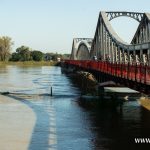 Ścinawa, Odra, podtopienia (50)