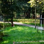 Ścinawa, Odra, podtopienia (6)