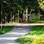 Ścinawa, Odra, podtopienia (7)