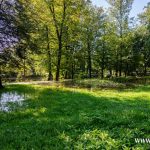 Ścinawa, Odra, podtopienia (9)