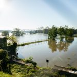Ścinawa, Odra, powódź (12)