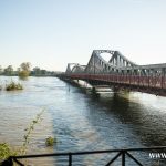 Ścinawa, Odra, powódź (13)