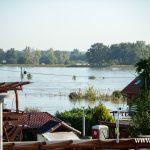 Ścinawa, Odra, powódź (25)