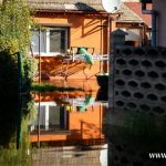 Ścinawa, Odra, powódź (28)