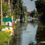 Ścinawa, Odra, powódź (34)