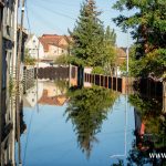 Ścinawa, Odra, powódź (5)