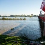 Ścinawa, Odra, powódź (7)
