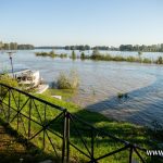 Ścinawa, Odra, powódź (8)