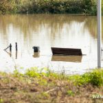 Ścinawa, port, Odra (12)