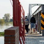 Ścinawa, port, Odra (14)