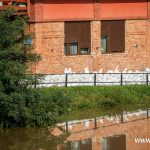 Ścinawa, port, Odra (16)