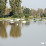 Ścinawa, port, Odra (17)