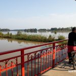 Ścinawa, port, Odra (18)