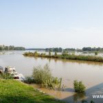 Ścinawa, port, Odra (21)