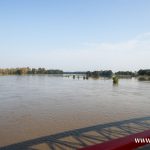Ścinawa, port, Odra (25)