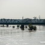 Ścinawa, port, Odra (27)