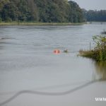 Ścinawa, port, Odra (29)