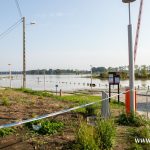 Ścinawa, port, Odra (8)