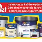 WIADOMOŚCI LUBIŃSKIE (1068×200)_CastoDays_11_24.09.2024