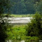 rzeka (34)