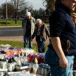 chryzantemy, znicze, błonie 2024 (1)