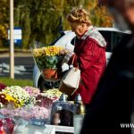 chryzantemy, znicze, błonie 2024 (12)