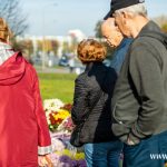 chryzantemy, znicze, błonie 2024 (2)