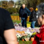 chryzantemy, znicze, błonie 2024 (9)