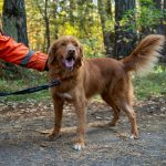 manewry strażaków, 22.10 (19)