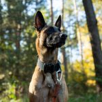 manewry strażaków, 22.10 (20)