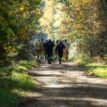 manewry strażaków, 22.10 (23)