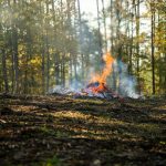 manewry strażaków, 22.10 (28)