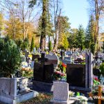 2024-11-01 stary cmentarz Wszystkich Świętych-10