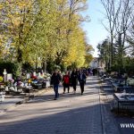 2024-11-01 stary cmentarz Wszystkich Świętych-13