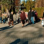 20241101_TF004m stary cmentarz Wszystkich Świętych (15)