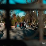 20241101_TF004m stary cmentarz Wszystkich Świętych (27)
