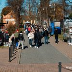 20241101_TF004m stary cmentarz Wszystkich Świętych (39)