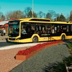 20241101_TF004m stary cmentarz Wszystkich Świętych (7)