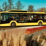 20241101_TF004m stary cmentarz Wszystkich Świętych (8)
