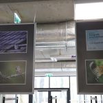 II Przegląd Filmów Ornitologicznych, zoo Lubin, 6.11.2024 (1)