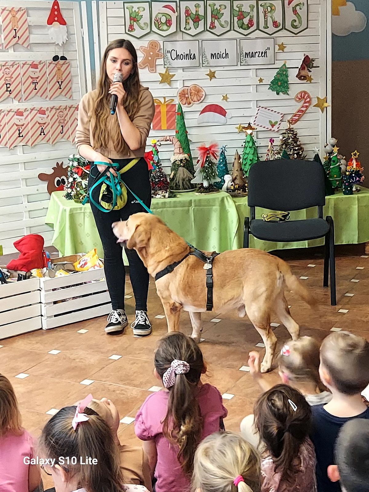 Przedszkole włącza się w pomoc zwierzętom