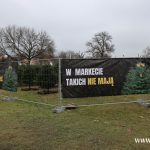 choinki, błonie (31)