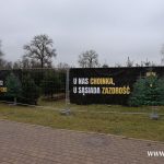 choinki, błonie (33)