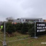 choinki, błonie (34)
