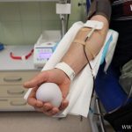 krew, krwiodawstwo, choinki, rckik, 18.12 (15)